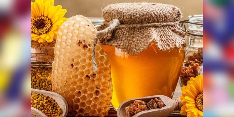 honey production center