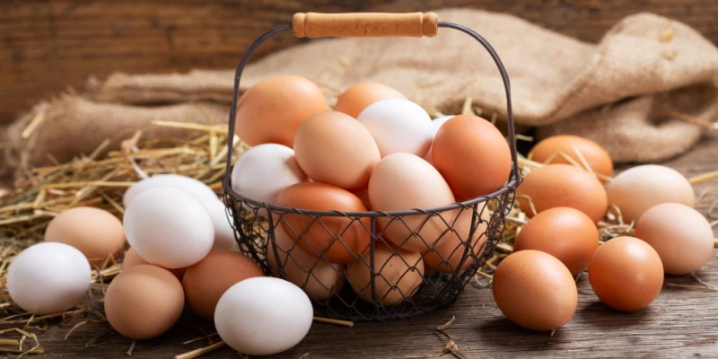अंडे न खाता प्रोटीन मिळवायचे असेल तर 'हे' ५ शाकाहारी पदार्थ खा, सोयाबीन आणि छोले यादीत
