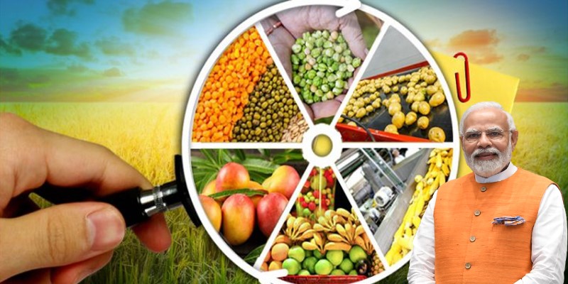 प्रधानमंत्री सूक्ष्म अन्न प्रक्रिया उद्योग योजनेअंतर्गत ४९ कोटींचे प्रस्ताव मंजूर