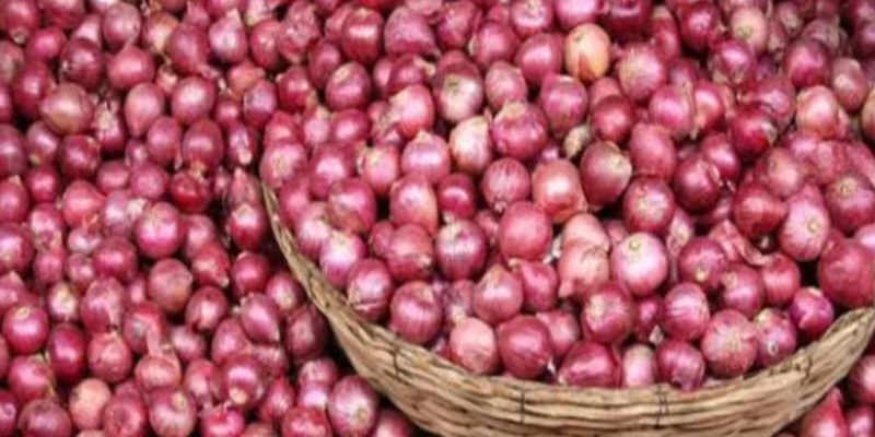Onion Price Hike: टोमॅटोनंतर आता कांदा महागणार? सप्टेंबरमध्ये भाव 60-70 रुपयांपर्यंत पोहोचू शकतात