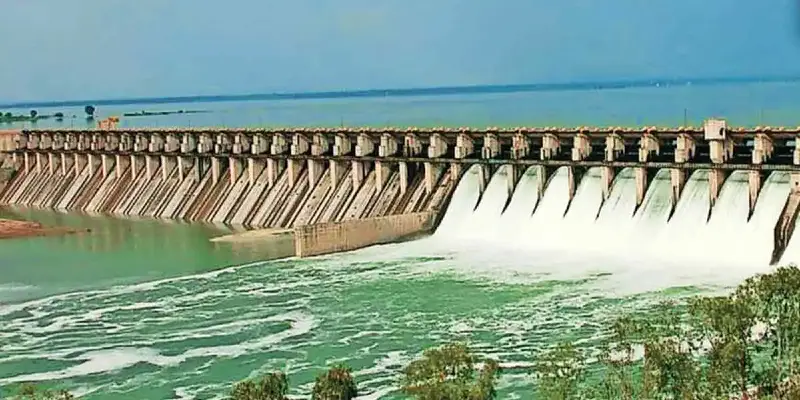 Ujani Reservoir | उजनी जलाशयात पहिला जलपक्षी गणना कार्यक्रम ३ मार्च रोजी