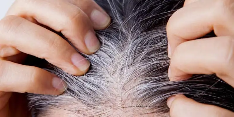 Hare Care | तुम्हीही पांढरे केस ओढून तोडता का? जाणून घ्या त्यामुळे होणारे नुकसान