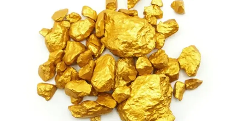 Worlds Largest Piece Of Gold | येथे सापडला जगातील सर्वात मोठा सोन्याचा तुकडा, किंमत ऐकून आश्चर्य वाटेल