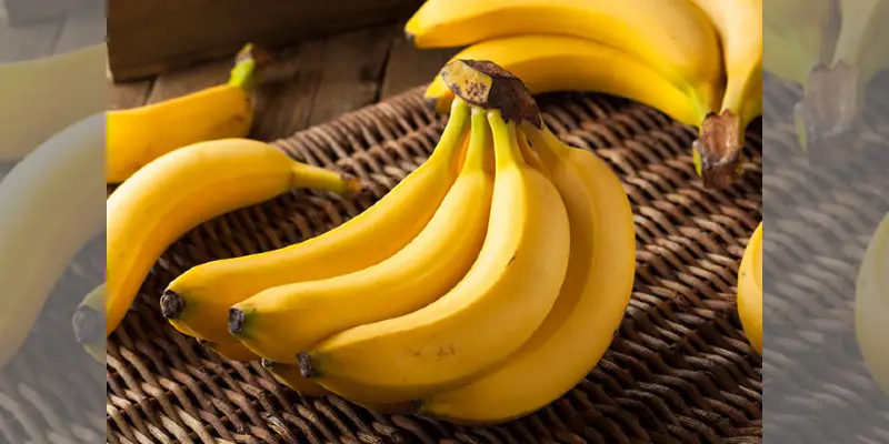Banana Benefits: केळीचे रोज सेवन का करावे? त्याचे फायदे वाचून तुम्हीही रोज केळ खायला सुरू कराल