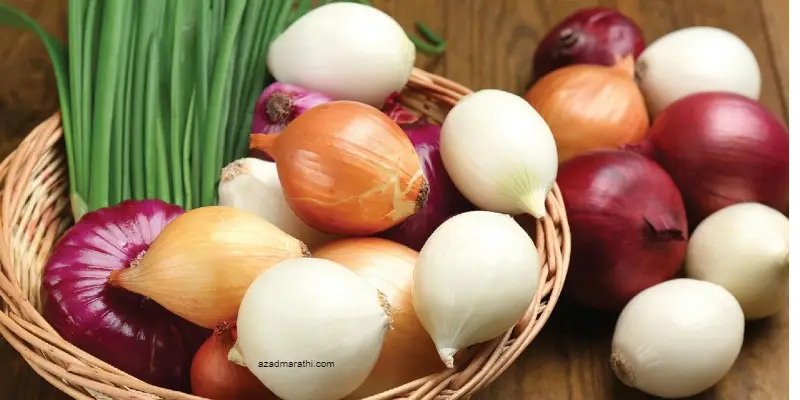 Onion Health Benefits: कांदा आरोग्यासाठी महत्त्वाचा का आहे? कांदा खाणे सोडल्यास शरीरात 'या' गोष्टींची कमतरता होते