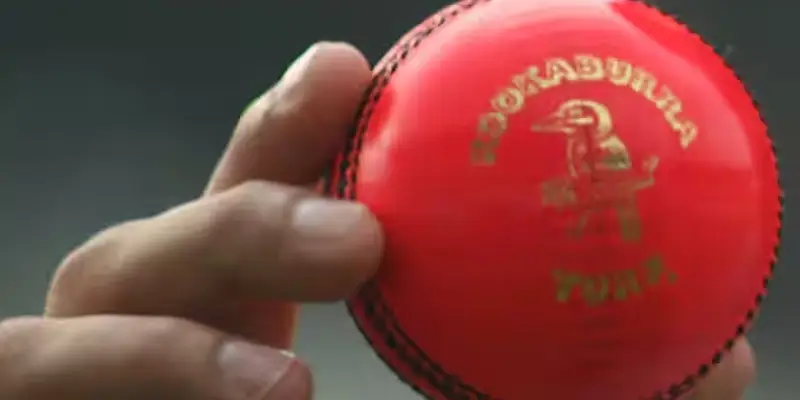 Cricket game | धक्कादायक! फलंदाजाने शॉट मारला, चेंडू गोलंदाजाच्या प्रायव्हेट पार्टला लागल्याने जागीच मृत्यू झाला