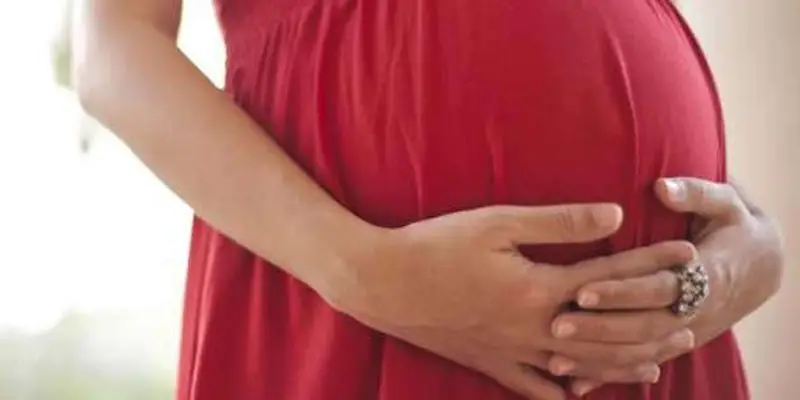 Zika Virus In Pregnancy | गर्भवती महिलेला झिका विषाणूचा धोका, बाळालाही होऊ शकतो धोका?