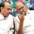 ठाकरे बंधूंच्या युतीच्या चर्चांदरम्यान अजित आणि शरद पवारांची जवळीक वाढली?