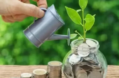 भविष्य सुरक्षित करू इच्छिता? मग या 5 गोष्टी लक्षात ठेवा"